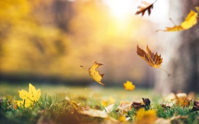 Sorry, I don’t offer advice